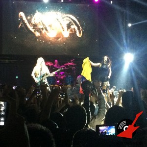Nightwish - Bandera